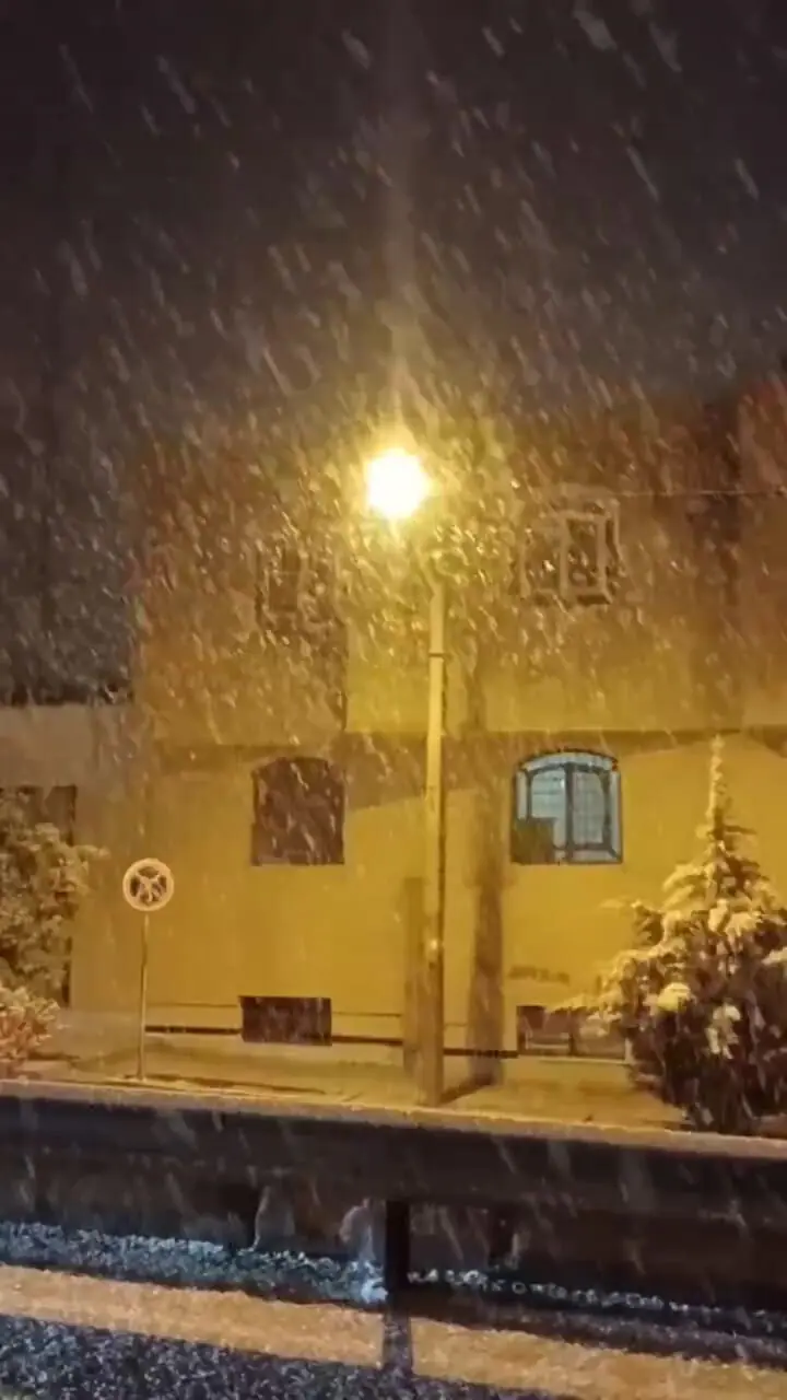 بارش برف در شیراز آغاز شد؛ گزارش زنده از هوای زمستانی شهر